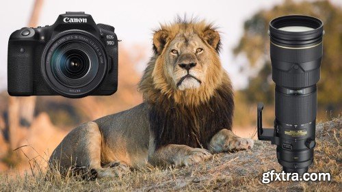 Скачать с Яндекс диска Wildlife Photography for Beginners and Amateurs