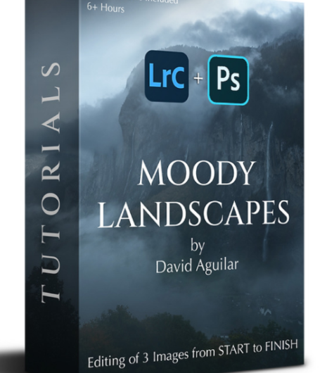 Скачать с Яндекс диска David Aguilar — Moody Landscapes