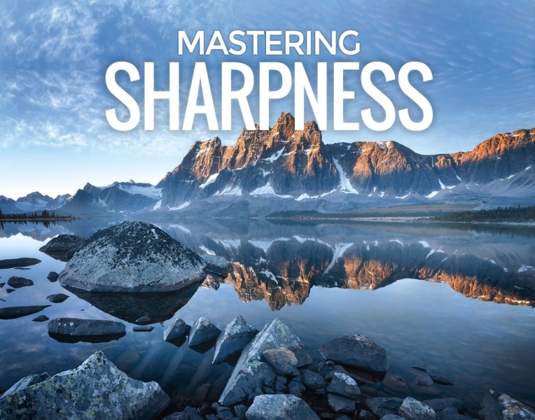 Скачать с Яндекс диска Fototripper.com - Gavin Hardcastle - Mastering Sharpness