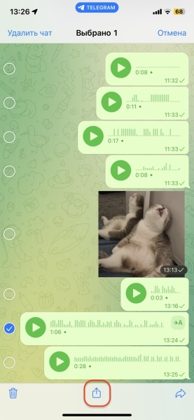 Как скачать голосовое сообщение из Telegram