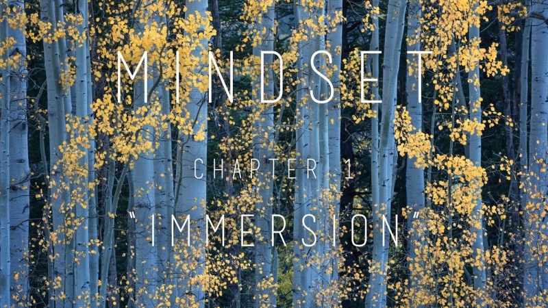 Скачать с Яндекс диска bennettfilm.com - Eric Bennett - Mindset Chapter 1: "Immersion"
